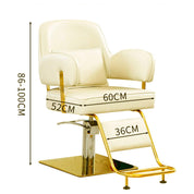 Silla peluqueria barberia Modelo Royal
